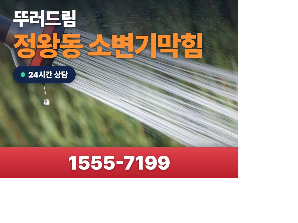 정왕동 소변기막힘 현장